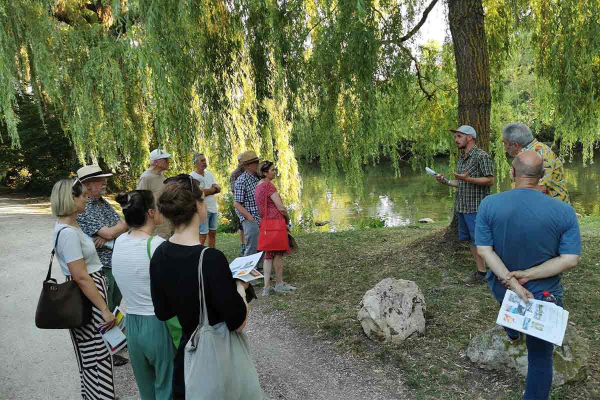 Hitzespaziergang: Hitze, Starkregen, Stadtleben – Wie machen wir Singen klimafit?