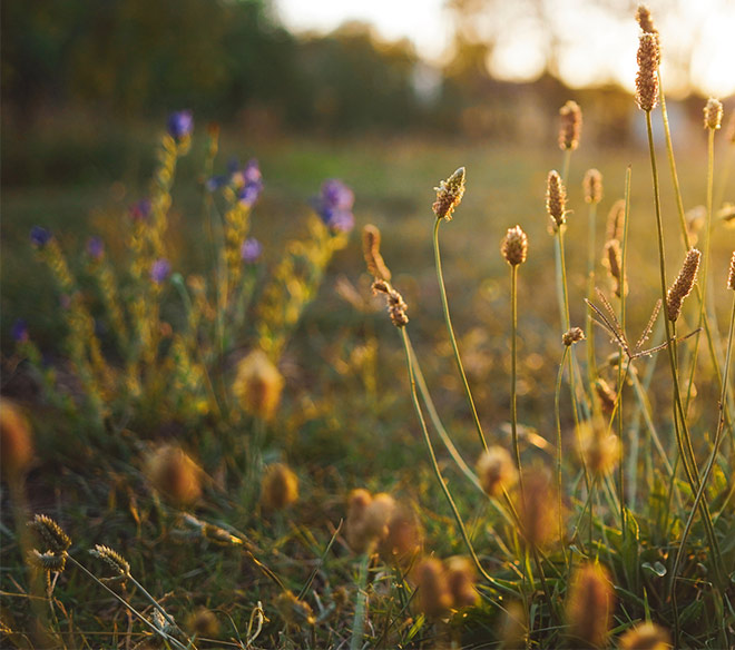 Bodenrichtwerte Bodenrichtwerte